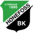 侯尼霍斯logo