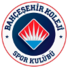 巴赫切希尔logo